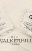 Туры в отель Gwangju Hound Hotel