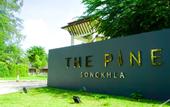 Туры в отель The Pine Songkhla