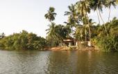 Туры в отель Kosgoda Beach Resort