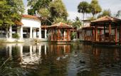 Туры в отель Kosgoda Beach Resort