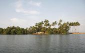 Туры в отель Kosgoda Beach Resort