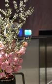 Туры в отель JOYA Hotel Hangzhou Qianjiang CBD