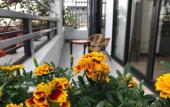 Туры в отель Elysinam Boutique Hotel Ha Long