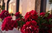 Туры в отель Elysinam Boutique Hotel Ha Long