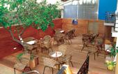 Туры в отель Hotel Kosmopolit