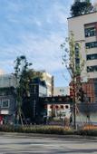 Туры в отель Mercure Chengdu Jinniu (Jinniu Wanda Plaza Store)