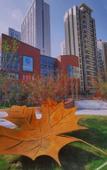 Туры в отель Mercure Chengdu Jinniu (Jinniu Wanda Plaza Store)