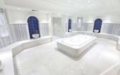 Туры в отель Limak Skopje Luxury Hotel