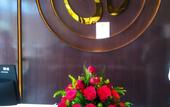 Туры в отель Welcomhotel By ITC Hotels Katra