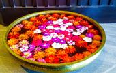 Туры в отель Welcomhotel By ITC Hotels Katra