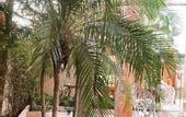 Туры в отель SK Resort Pattaya