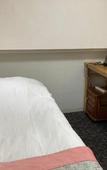 Туры в отель GreenHotel