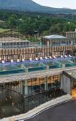 Туры в отель Amber Pure Hill Hotels & Resorts Jeju