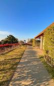 Туры в отель Amber Pure Hill Hotels & Resorts Jeju