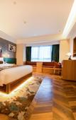 Туры в отель James Joyce Coffetel Hotel (Jinan West Railway Station Convention and Exhibition Center)