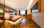 Туры в отель James Joyce Coffetel Hotel (Jinan West Railway Station Convention and Exhibition Center)