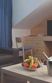 Туры в отель Hotel International Prishtina