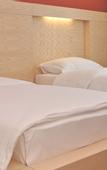 Туры в отель Hotel International Prishtina