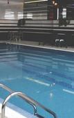 Туры в отель Hotel International Prishtina