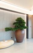 Туры в отель JI Hotel (Xi'an Gaoxinqu Ruanjianxincheng)