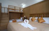 Туры в отель ChaLi's Family Hotel & Hostel