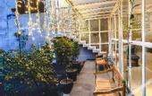 Туры в отель Zoe Guest House