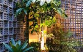 Туры в отель Zoe Guest House