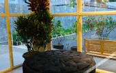 Туры в отель Zoe Guest House