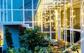 Туры в отель Zoe Guest House