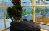 Туры в отель Zoe Guest House