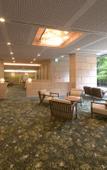Туры в отель Grandvriohotel Unazukionsen