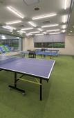 Туры в отель Grandvriohotel Unazukionsen