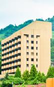 Туры в отель Grandvriohotel Unazukionsen
