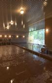 Туры в отель Grandvriohotel Unazukionsen