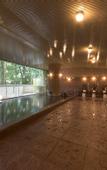 Туры в отель Grandvriohotel Unazukionsen