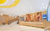 Туры в отель Vienna Classic Hotel (Cangnan High-Speed Railway Station)