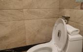 Туры в отель Vienna Classic Hotel (Cangnan High-Speed Railway Station)