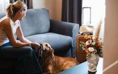 Туры в отель 3T Boutique Hotel