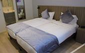 Туры в отель Hotel puy de Dome
