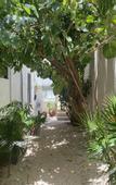 Туры в отель Casa Cielo Cancun