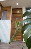 Туры в отель Casa Cielo Cancun