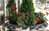 Туры в отель Arabesque Hotel