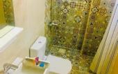 Туры в отель Arabesque Hotel