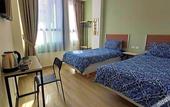 Туры в отель Arabesque Hotel