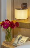 Туры в отель Vienna Hotel (Yanshan Yanbai Life Plaza)