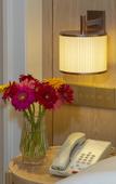 Туры в отель Vienna Hotel (Yanshan Yanbai Life Plaza)