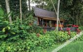 Туры в отель Masakali Retreat