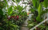 Туры в отель Masakali Retreat