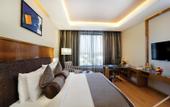 Туры в отель Yashail Hotel Haridwar