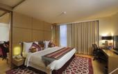 Туры в отель Yashail Hotel Haridwar